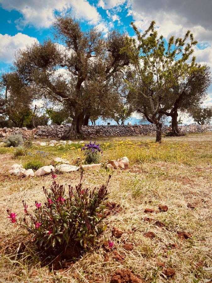 오스투니 Trulli Acquasala - Apulian Country Experience 빌라 외부 사진