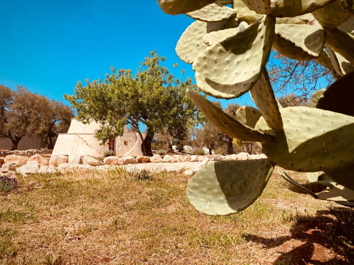 오스투니 Trulli Acquasala - Apulian Country Experience 빌라 외부 사진