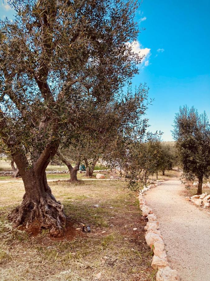 오스투니 Trulli Acquasala - Apulian Country Experience 빌라 외부 사진